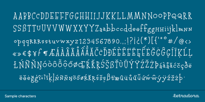 Pocket Serif Font Poster 7