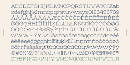 Theoris Font Poster 8