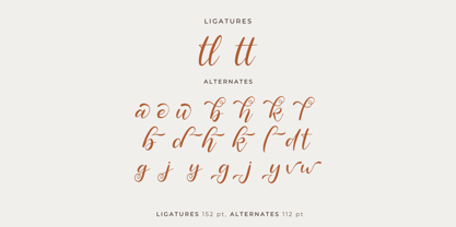 Ricadya Font Poster 12