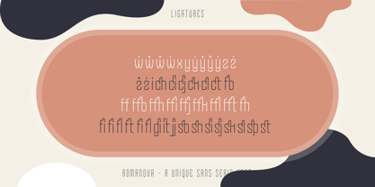 Romanova Font Poster 14