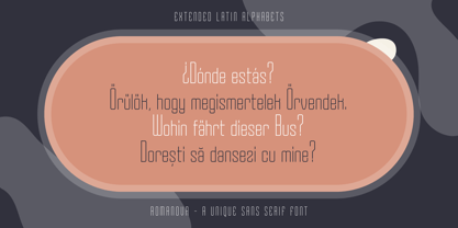 Romanova Font Poster 11