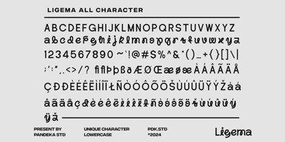 Ligema Font Poster 11