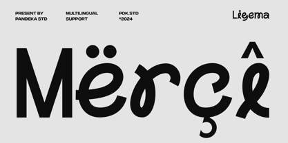 Ligema Font Poster 12