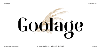 Goolage Font Poster 1