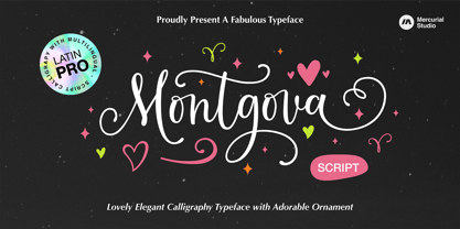 Montgova Script Font Poster 1