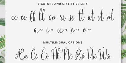 Ryleigh Font | Webfont & Desktop | MyFonts