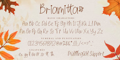 Briamitta Font Poster 7