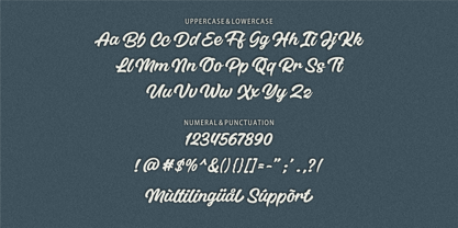 Bellibish Font Poster 9