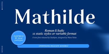 Mathilde Police Poster 1