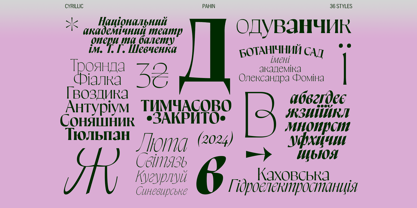 Pahin Variable Font Poster 9