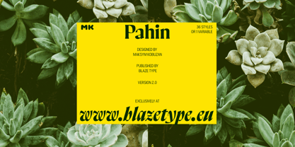 Pahin Variable Font Poster 13