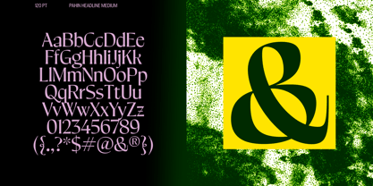 Pahin Variable Font Poster 4