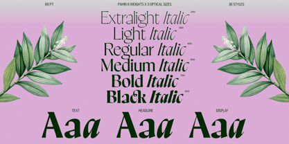 Pahin Variable Font Poster 2