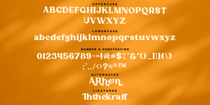 Roffene Font Poster 7