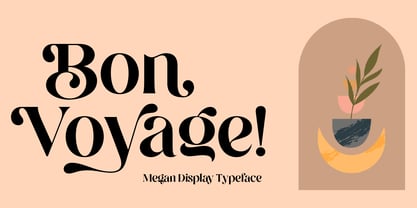 Megan Unique Display Font Poster 10