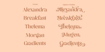 Megan Unique Display Font Poster 12