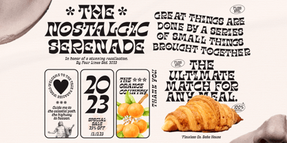 Nostalgic Serenade Font Poster 10