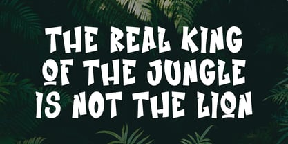 MC Jungle Fresh Font Poster 5