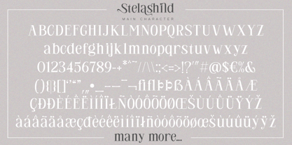 Stelashild Font Poster 10