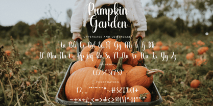 Pumpkin Garden Font Poster 7