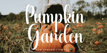 Pumpkin Garden Font Poster 1