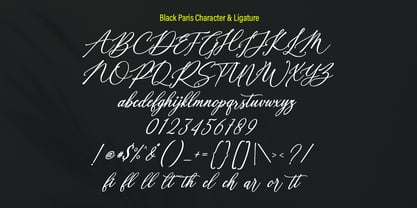 Black Paris Font Poster 10