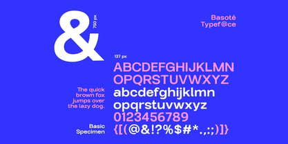 Basote Font Poster 3