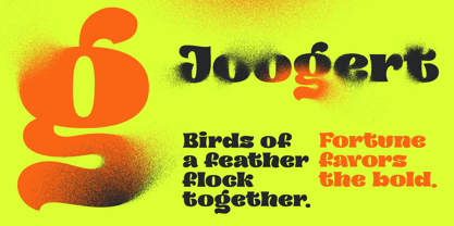 Joogert Font Poster 10