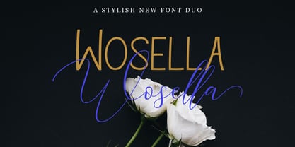 HELLO Wosella Script Font Poster 6