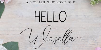 HELLO Wosella Script Font Poster 1