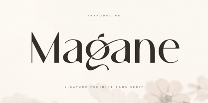 Magane Font Poster 1