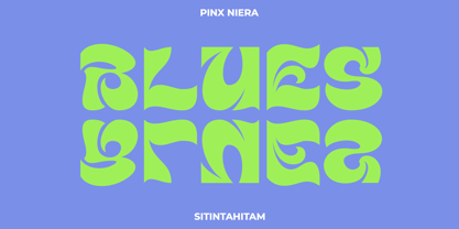 Pinx Niera Font Poster 5