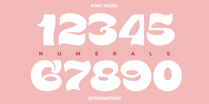 Pinx Niera Font Poster 9