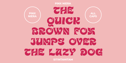 Pinx Niera Font Poster 7