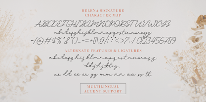 Helena Signature Font Poster 10