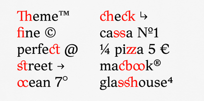 Ligaturess Serif Font Poster 9