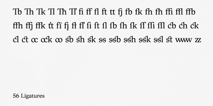 Ligaturess Serif Fuente Póster 12