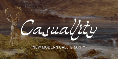 Casuallity Font Poster 1