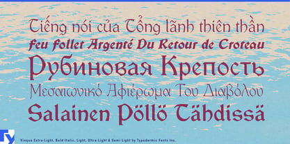 Vinque Font Poster 2