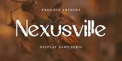 Nexusville Font Poster 1