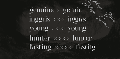 Moguine Serif Font Poster 3