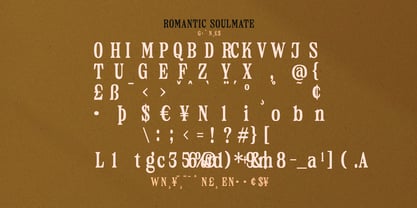 Romantic Soulmate Font Poster 8