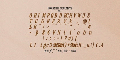 Romantic Soulmate Font Poster 7