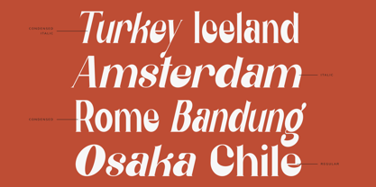 Belgia Modern Classic Font Poster 4