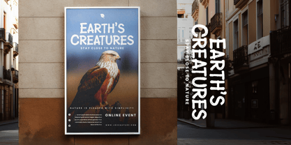 Wildlife Brush Font Poster 4