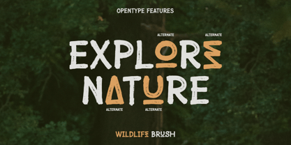 Wildlife Brush Font Poster 10