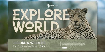 Wildlife Brush Font | Webfont & Desktop | MyFonts