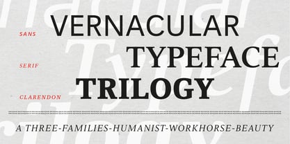 Vernacular Serif Font Poster 2