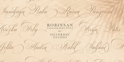 Robinsan Font Poster 8