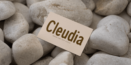 Cleudia Fuente Póster 5